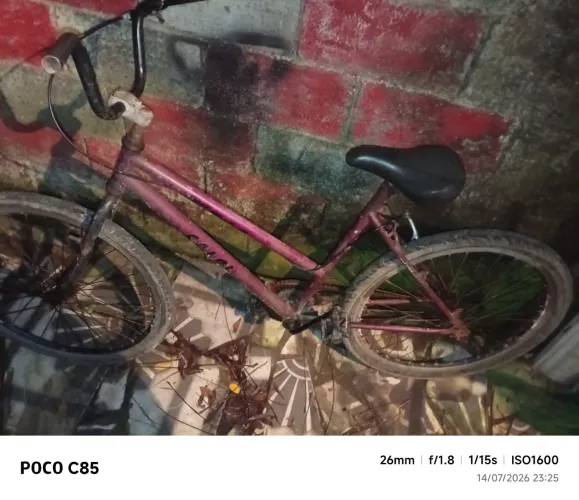Bicicleta porti folhas aérea rodando perfeitamente só falta freios