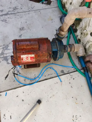 Motor bomba