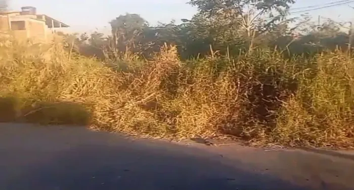 Vende-se Terreno no KM35, 22 mil*