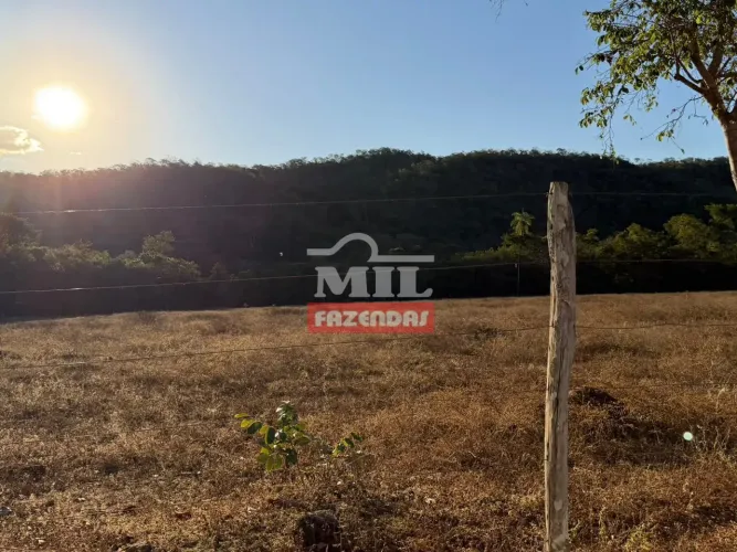Fazenda 59 Alqueires (285,49 Hectares) Formoso - GO