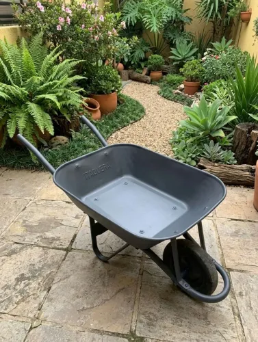 Carinho de mão
