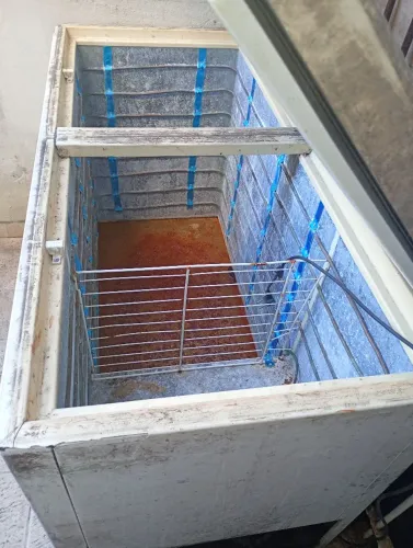 Vendo frizer horizontal grande 2 tampas sem o gás valor 400. Reais
