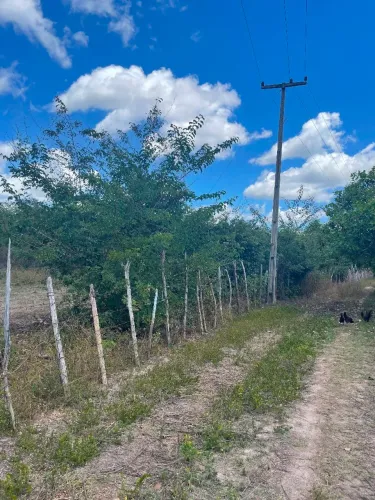 VENDO TERRENO 10×40 EM DEMERVAL LOBÃO