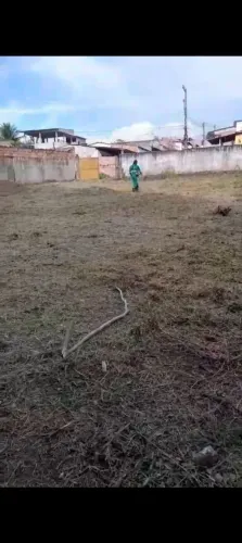 Roçador disponível