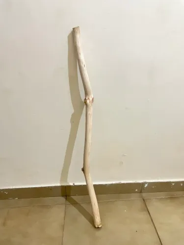 Bengala crua sem acabamento