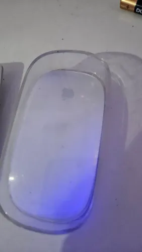 Magic mouse apple