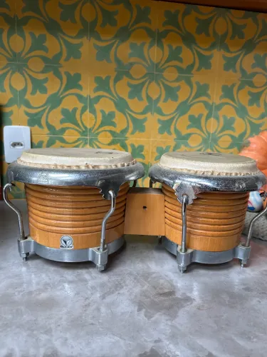 Vendo Bongo Bauer 