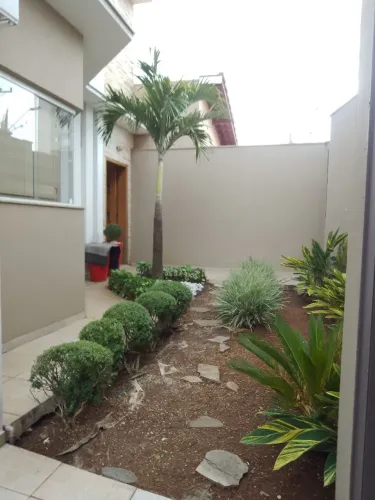 Jardineiro c/ experiência