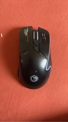 Mouse gamer