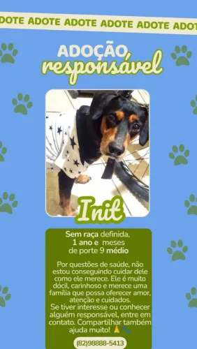 Adote