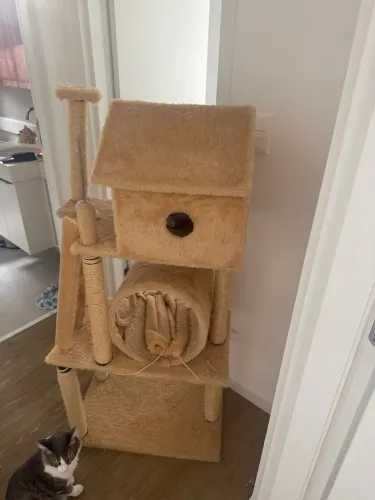 Casa de gato
