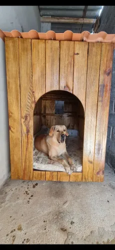 Casinha de Cachorro em Madeira - Porte Grande/Gigante (1,70m x 1,00m)