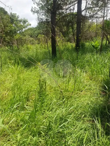 terreno a venda vila moraes - Mogi das Cruzes - SP