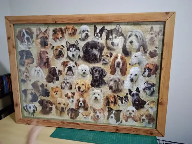 Quadro de pluzze