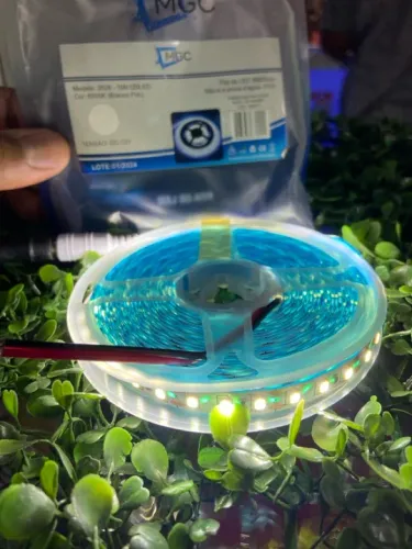 Fita LED 120 led Por 5metro 6500k