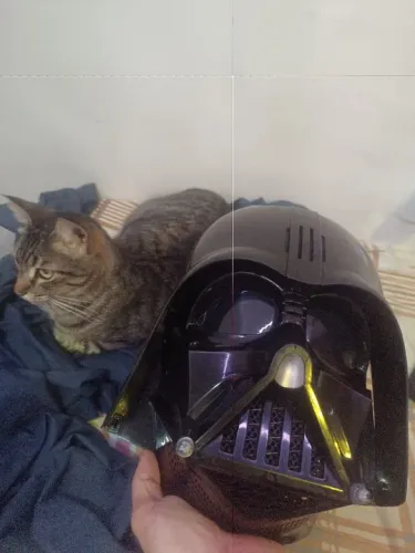 Máscara Darth Veder