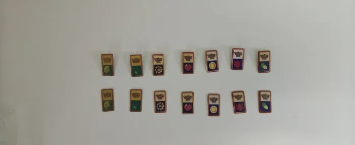 Insignias Pokemon League Broches