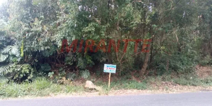 Terreno em Santa Inês(caieiras)