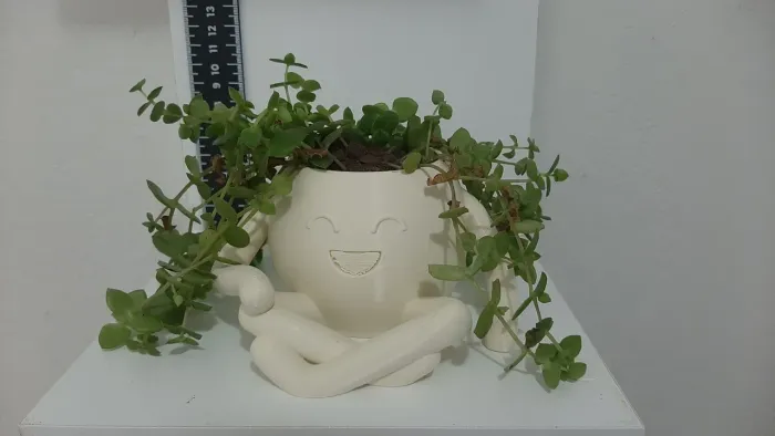 Vaso Decorativo com Planta suculentas 