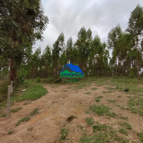 Fazenda à venda em Área Rural, Aiuruoca, MG