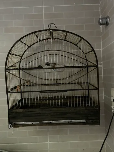 Gaiola de passarinho