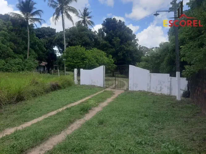 Área para venda possui 5,57 hectares em Alhandra - PB