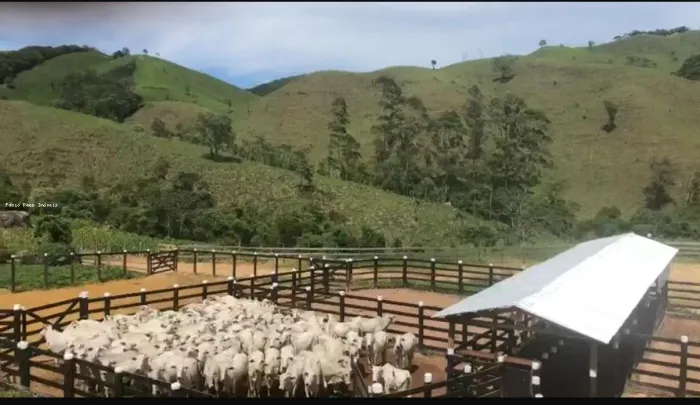 Fazenda para Venda em Trajano de Moraes, 2 dormitórios, 1 banheiro, 2 vagas