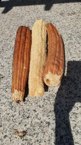 Bucha vegetal in natura