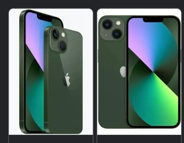 Celular 13