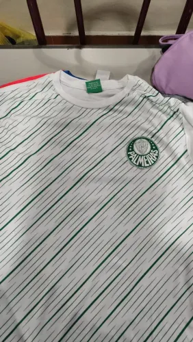 Camisa palmeiras