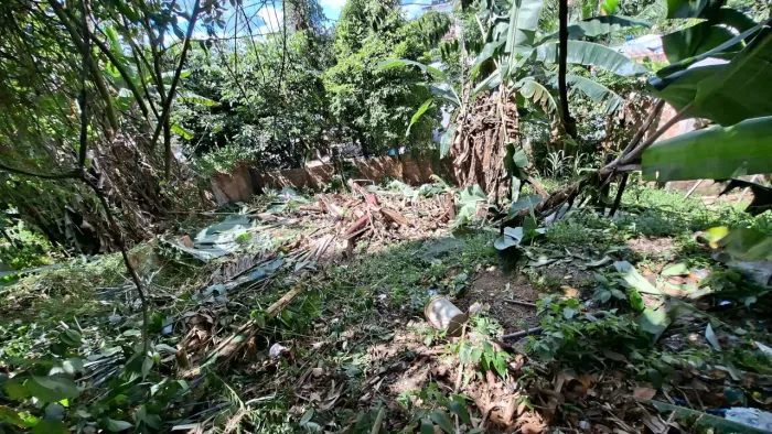 Terreno 