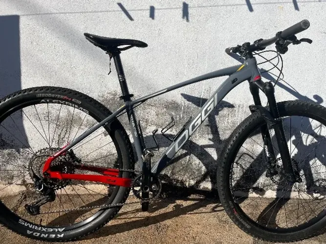 Bicicleta Oggi 7.4
