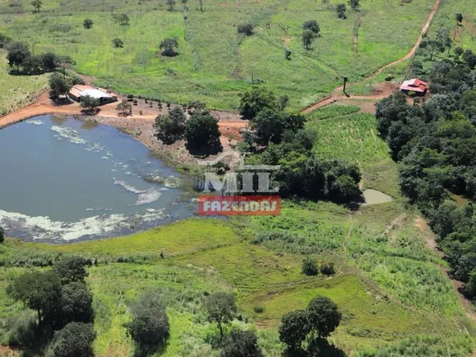 Fazenda em Santa Terezinha de Goiás. 38 Alqueires