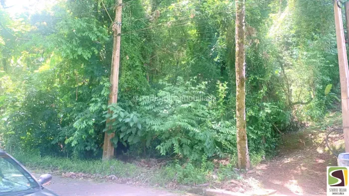 Terreno Venda Siriúba Ilhabela - Escritura Definitiva