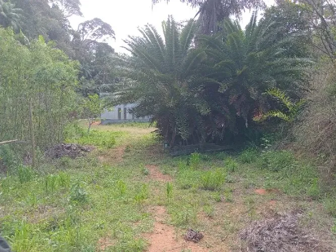 Galpão com aproximadamente 250 metros quadrados, com uma marcenaria completa