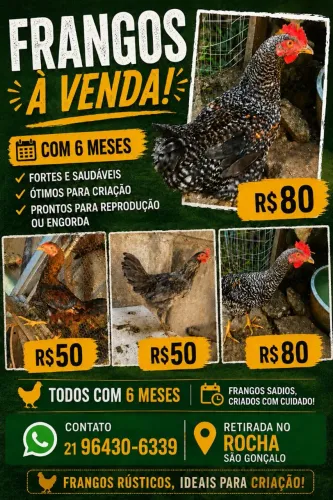 Galo