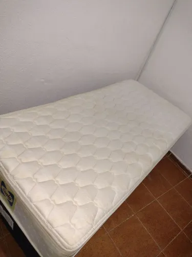Cama Box Solteiro Sealy Back Saver Bianca Firme (Higienizada)