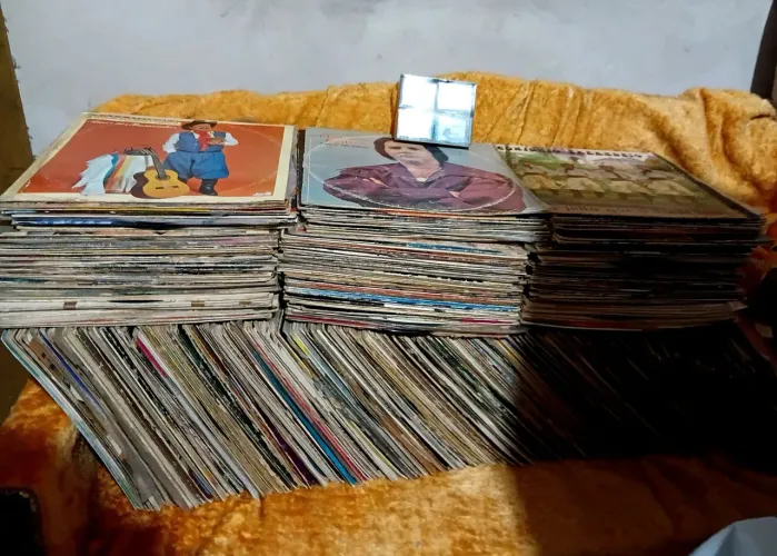 Vendo vinis,variados!