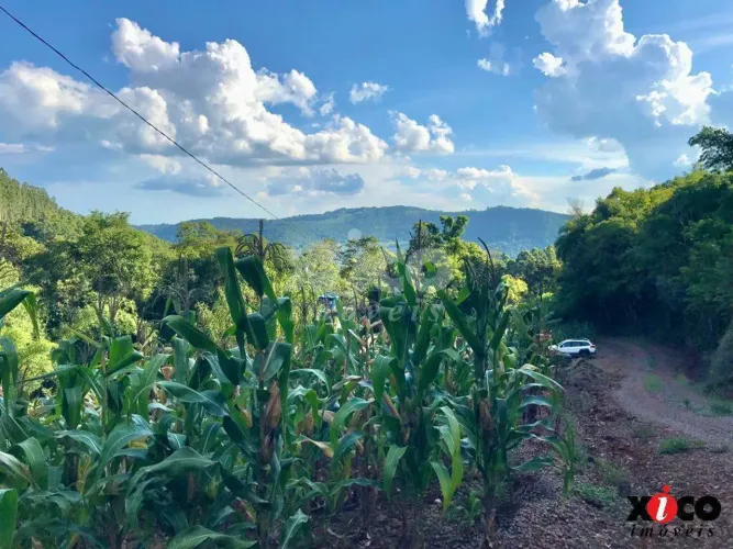 SÍTIO / CHÁCARA PARA VENDA EM NOVA PETRÓPOLIS / RS NO BAIRRO FAZENDA PIRAJÁ
