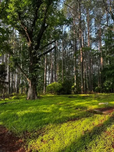 Lote 1000m² com Acesso Rápido para São Paulo
