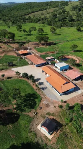 Vendo Fazenda em Alexânia, pronta para produção de leite, 11,3 Alqueires