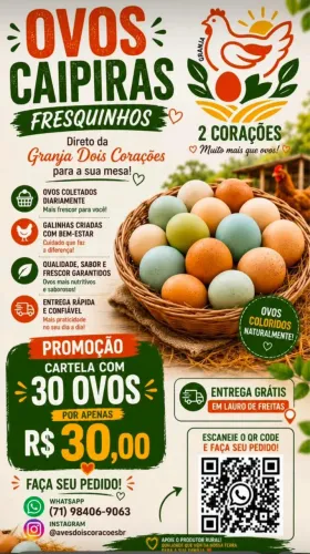 VENDO OVOS CAIPIRAS DE QUALIDADE 