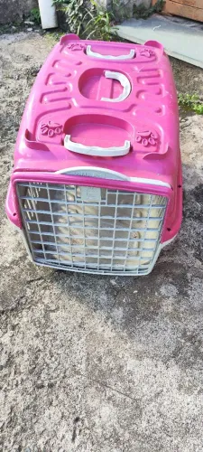 Caixa de transporte Pet