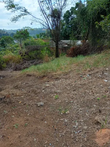 Terreno