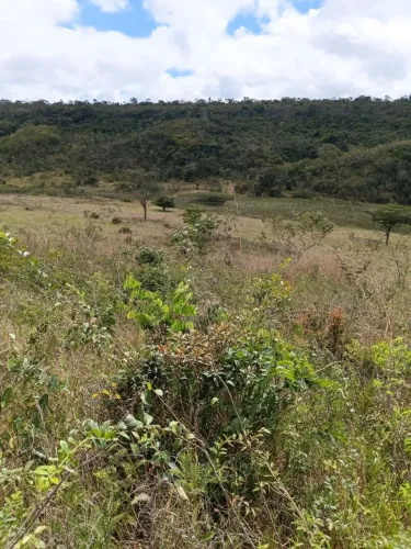 Fazenda a venda, com 4 Mil pés de café!