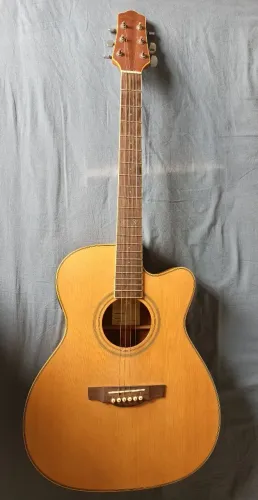 VENDO VIOLÃO PROFISSIONAL DI GIORGIO ( POR FAVOR LEIA A DESCRIÇÃO)