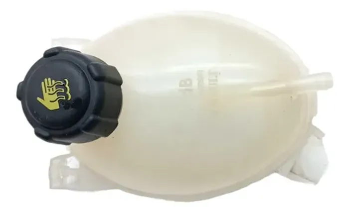 Reservatorio Agua Radiador Renault Sandero 1.0 2015