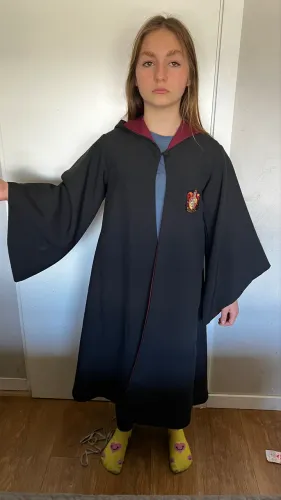 Capa do harry potter original da Disney