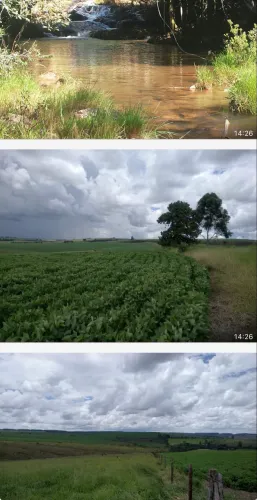 Fazenda triângulo mineiro 