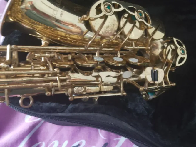 Sax alto Michel Since 1999